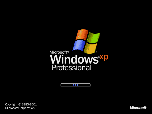 Windows XP starting Screen